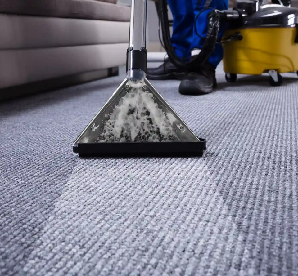 Quick Dry Carpet Cleaning