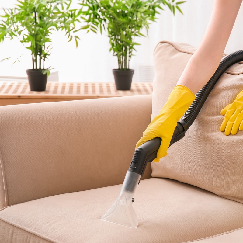 Upholstery Cleaning Upholstery Cleaning